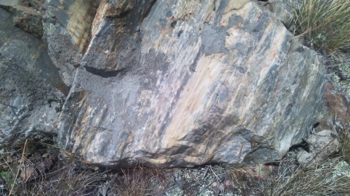 Гигантские зелёные валуны для ландшафтного дизайна весом более 5 тонн купить в Карасуке