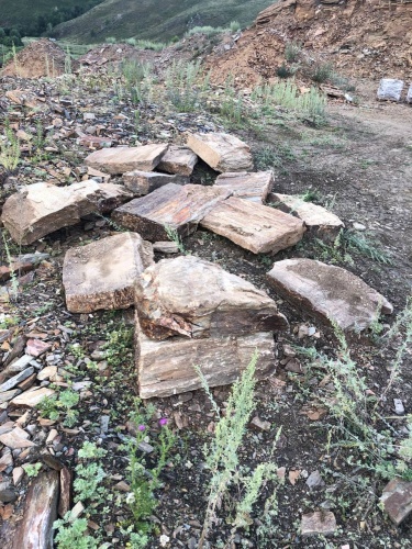 Плитняк кора дерева 50-100мм для пошаговых дорожек купить в Карасуке